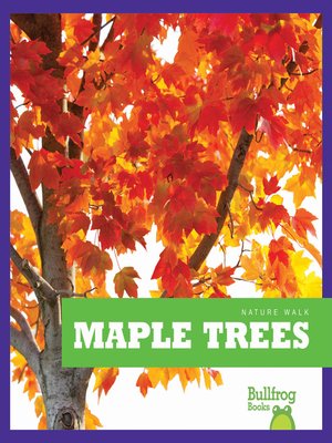 cover image of Maple Trees